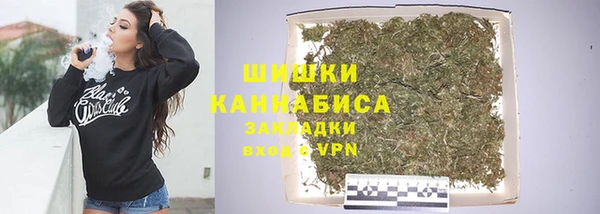 прущие грибы Алзамай