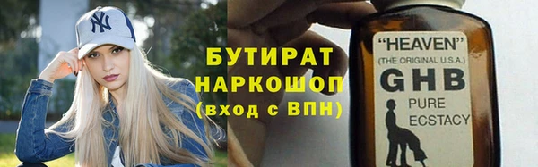 индика Алексин
