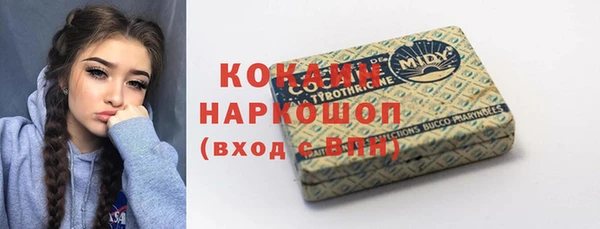прущие грибы Алзамай