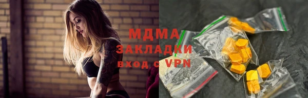 индика Алексин