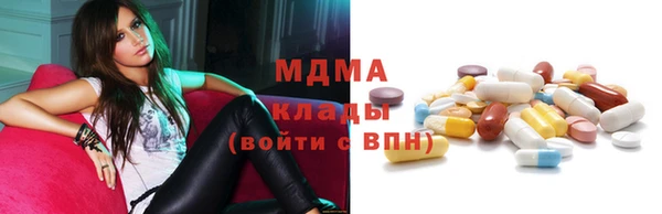 индика Алексин