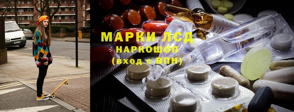 прущие грибы Алзамай