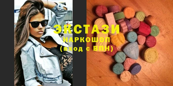 индика Алексин