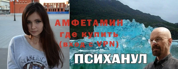 прущие грибы Алзамай
