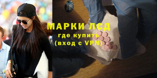 прущие грибы Алзамай